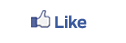 Facebook Like Button